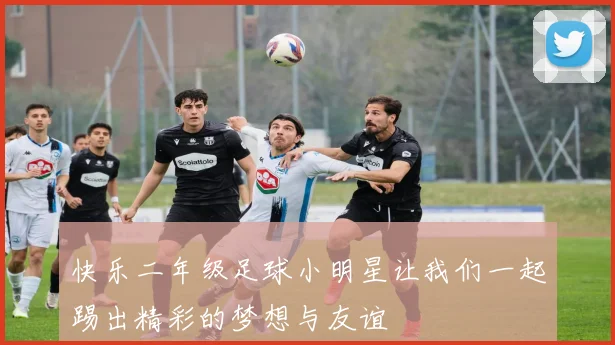 快乐二年级足球小明星让我们一起踢出精彩的梦想与友谊